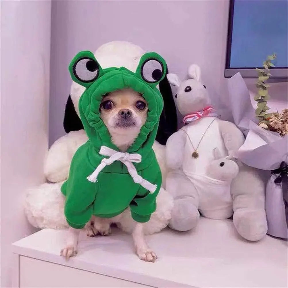 Cute Pet Frog Costume