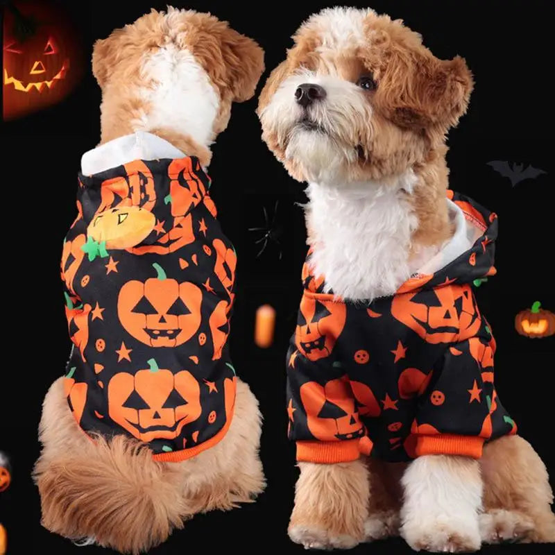 Cute Halloween Pet Costumes