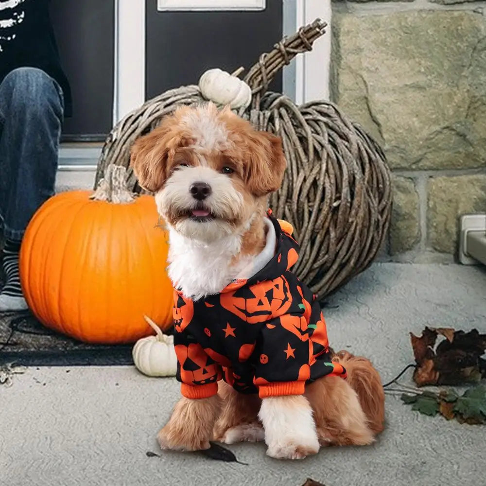 Cute Halloween Pet Costumes