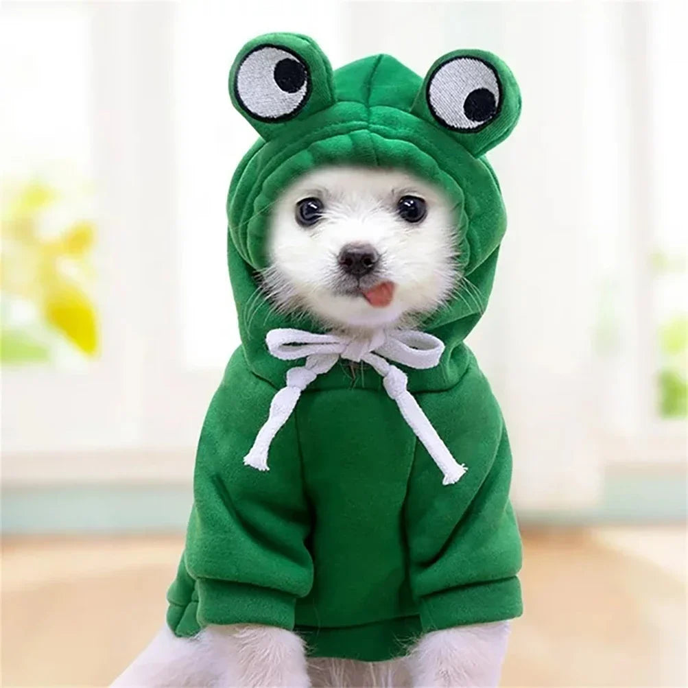 Cute Pet Frog Costume