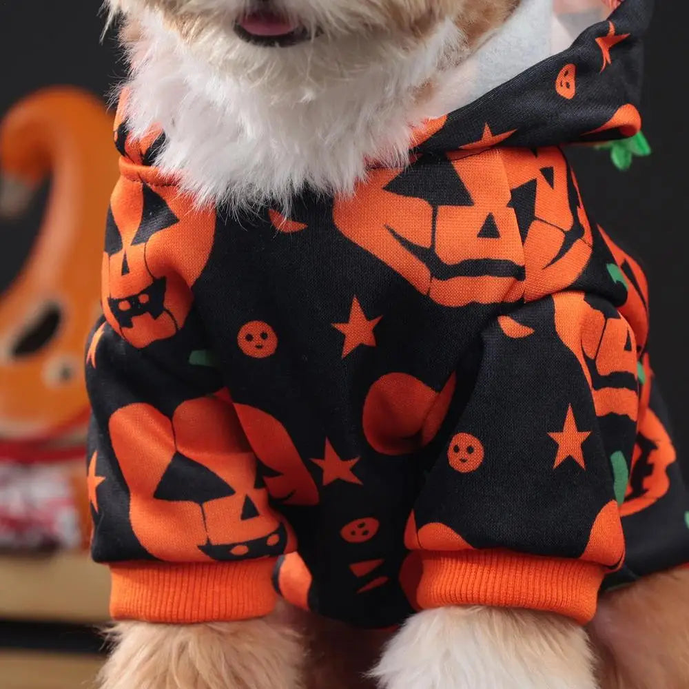 Cute Halloween Pet Costumes