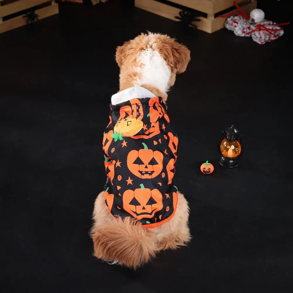 Cute Halloween Pet Costumes